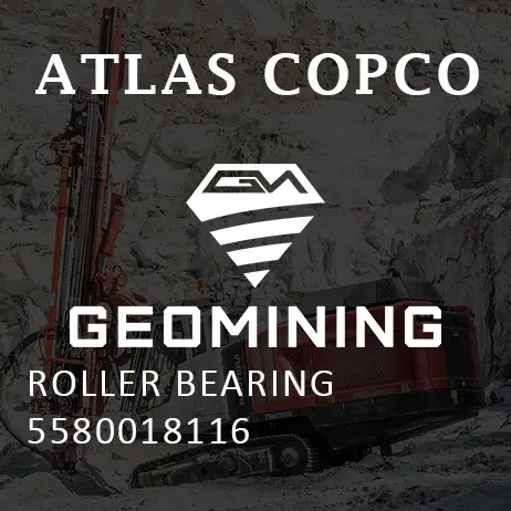 5580018116 РОЛИКОВЫЙ ПОДШИПНИК Atlas Copco / Epiroc