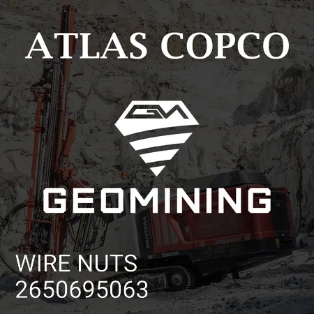 2650695063 ПРОВОЛОЧНЫЕ ГАЙКИ Atlas Copco / Epiroc